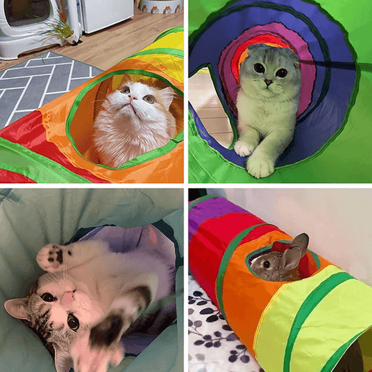 Cat Tunnel Fun Den